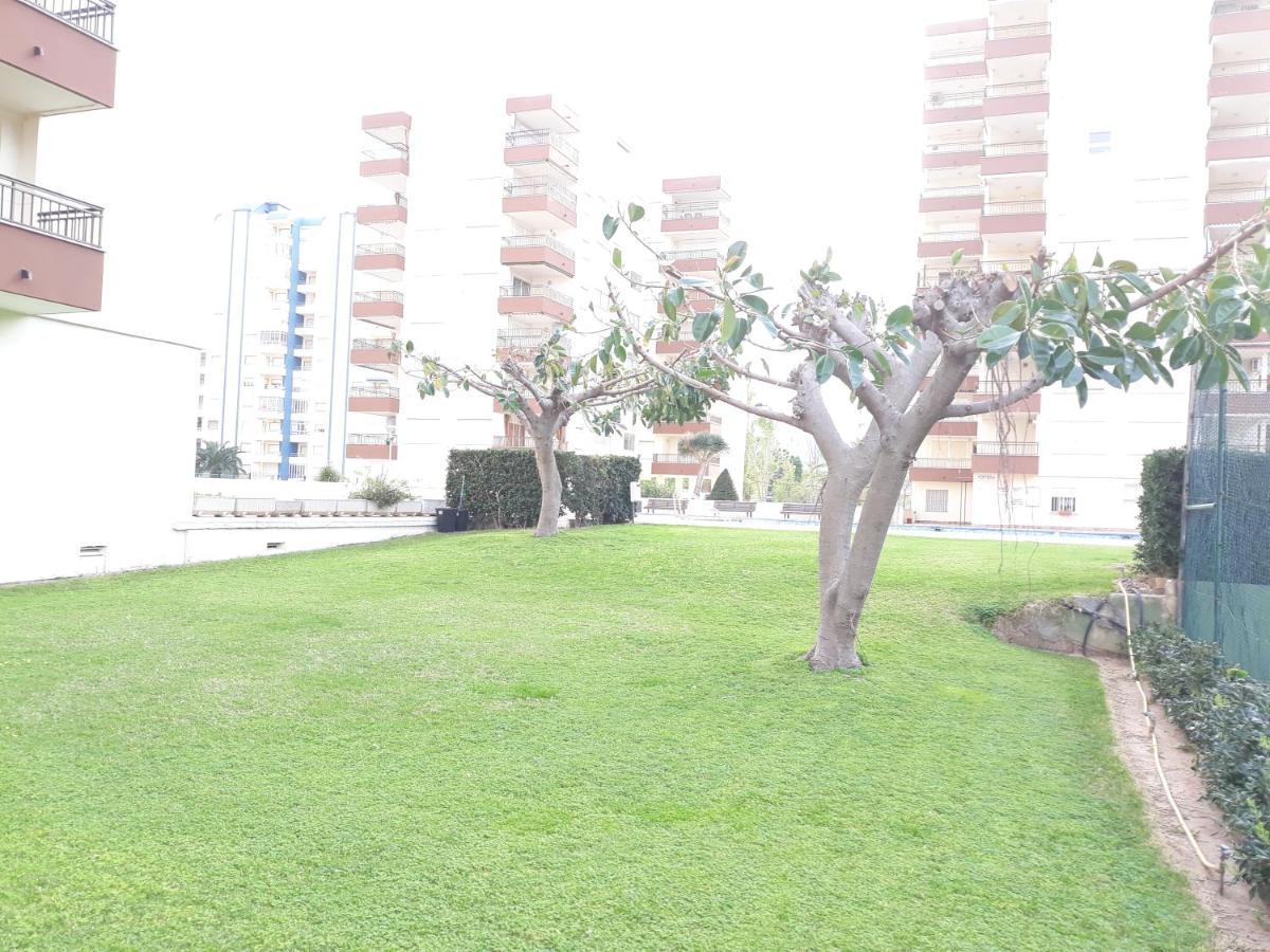 Valldigna 7 Playa De Gandia Solo Familias Exterior photo